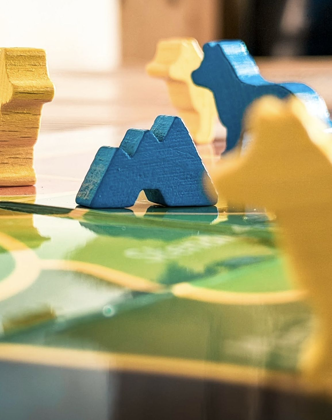 Roda 18° — Celebratory board game (7)