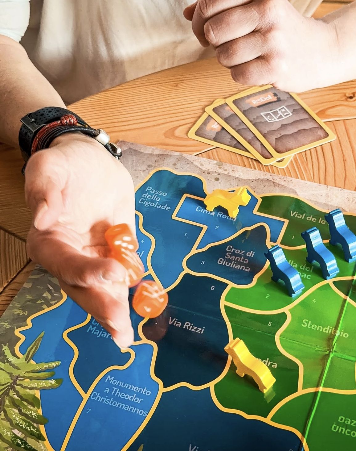 Roda 18° — Celebratory board game (8)